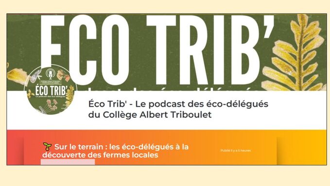 image éco-Trib (1).jpg